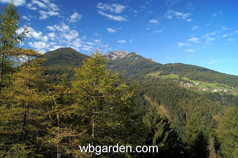 wbgarden alps 8.JPG